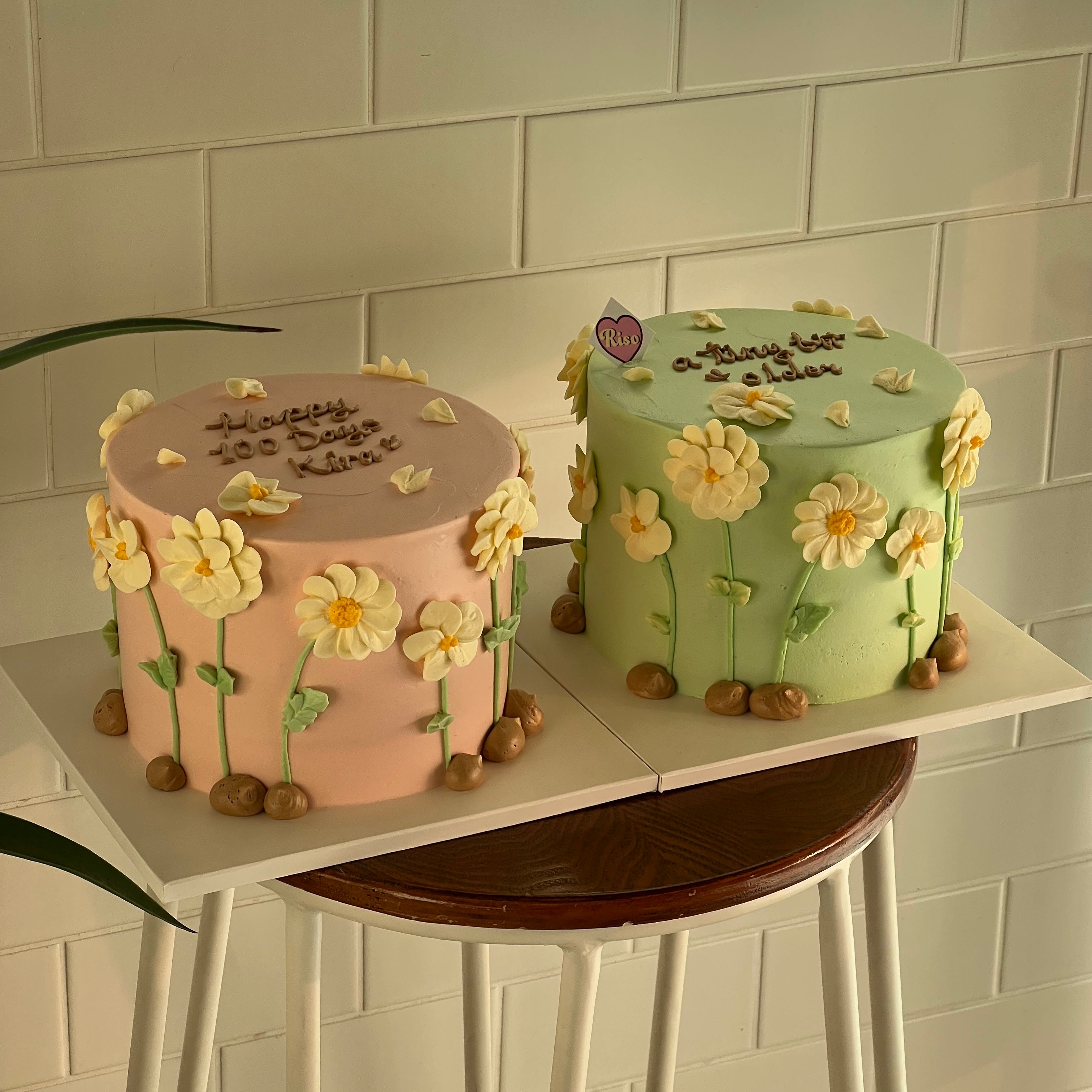A soft and elegant cake blooming with white daisies under the sunlight