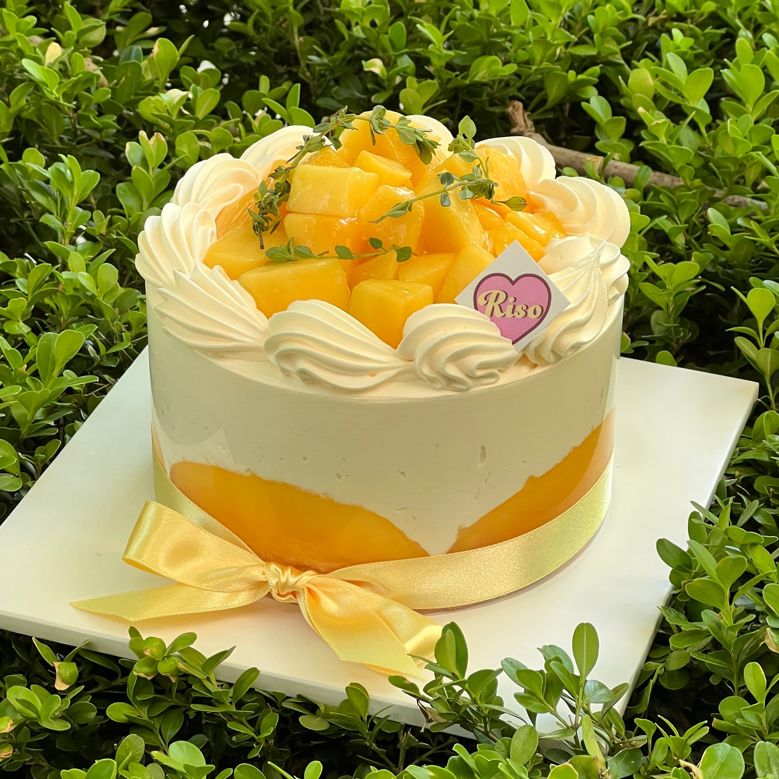 💛MANGO IS BACK!💛 Fresh Cream Mango Cake