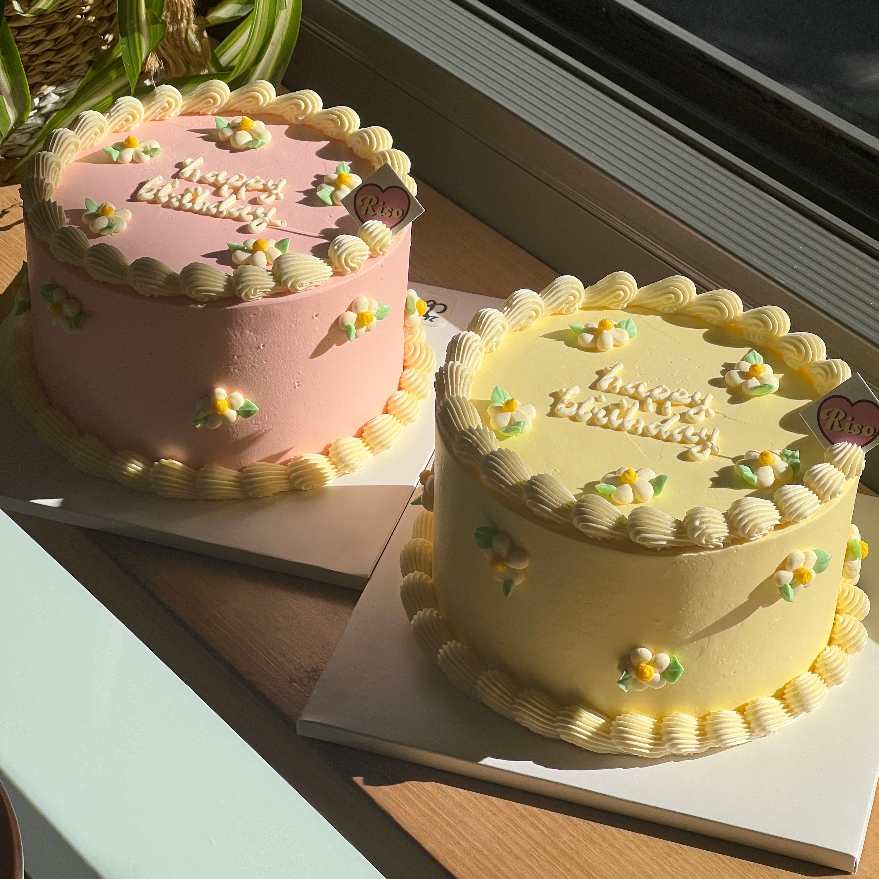 Daisy Cake (Round/Heart)