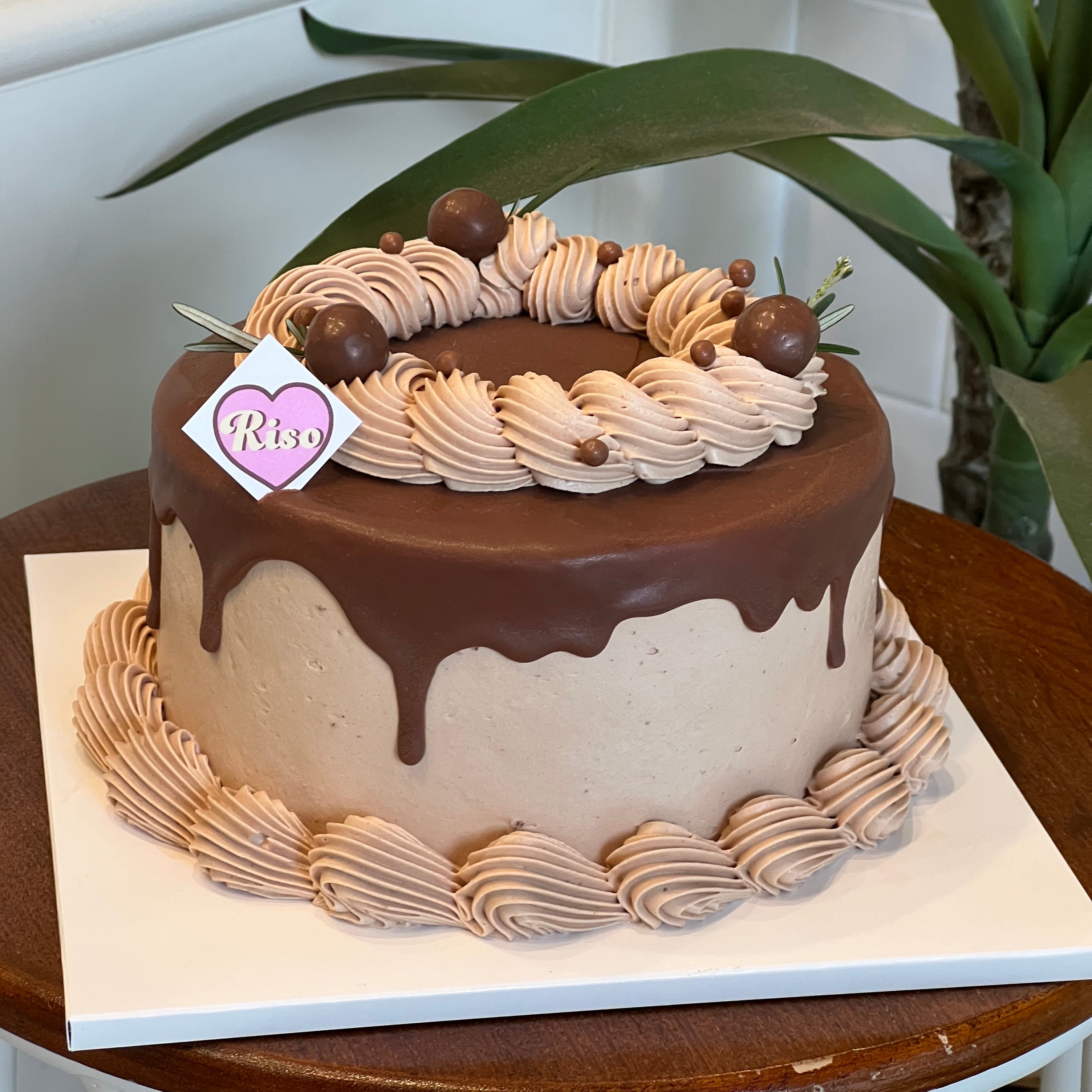 Fresh Cream Chocolate Cake
