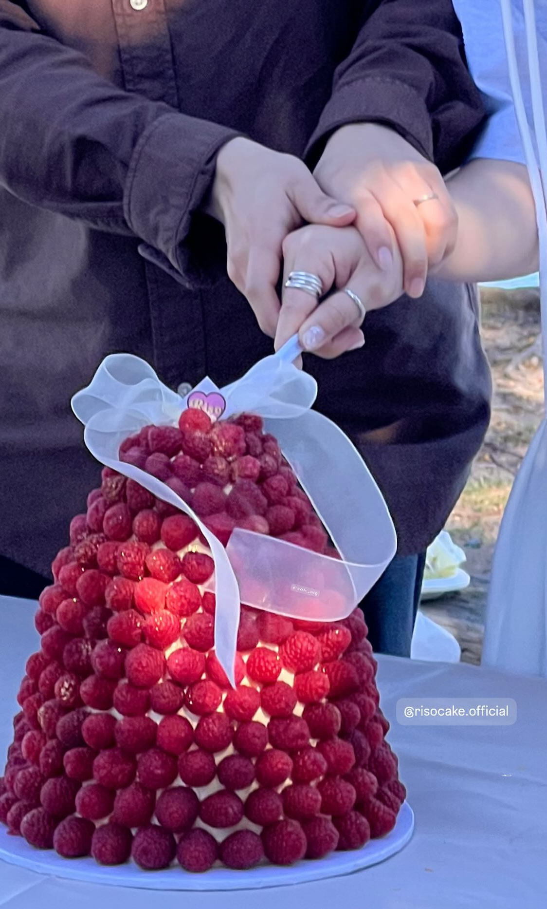 Raspberry Bloom Cake