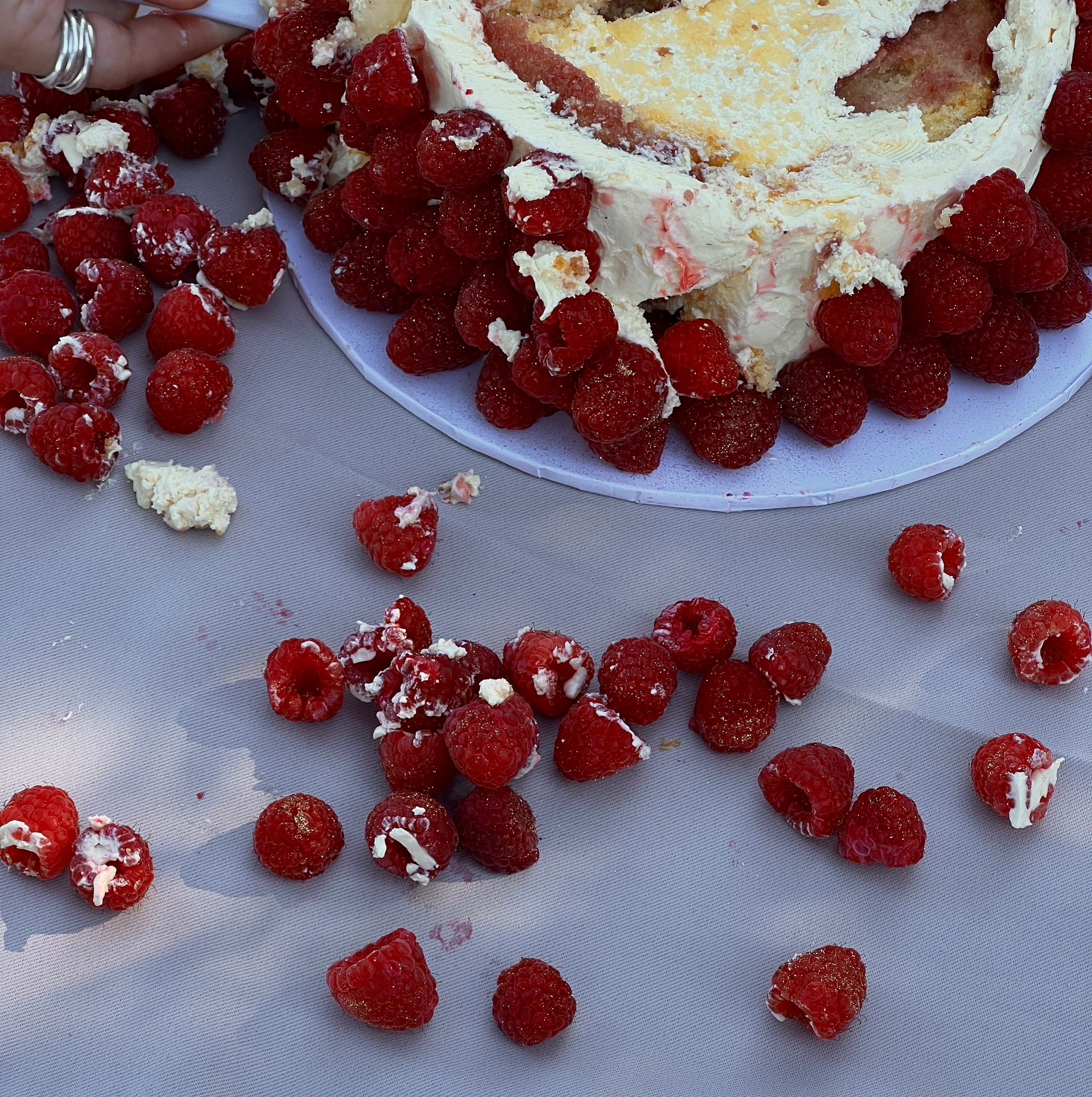 Sunlight glistens on a dreamy raspberry tower cake wrapped in a delicate white bow