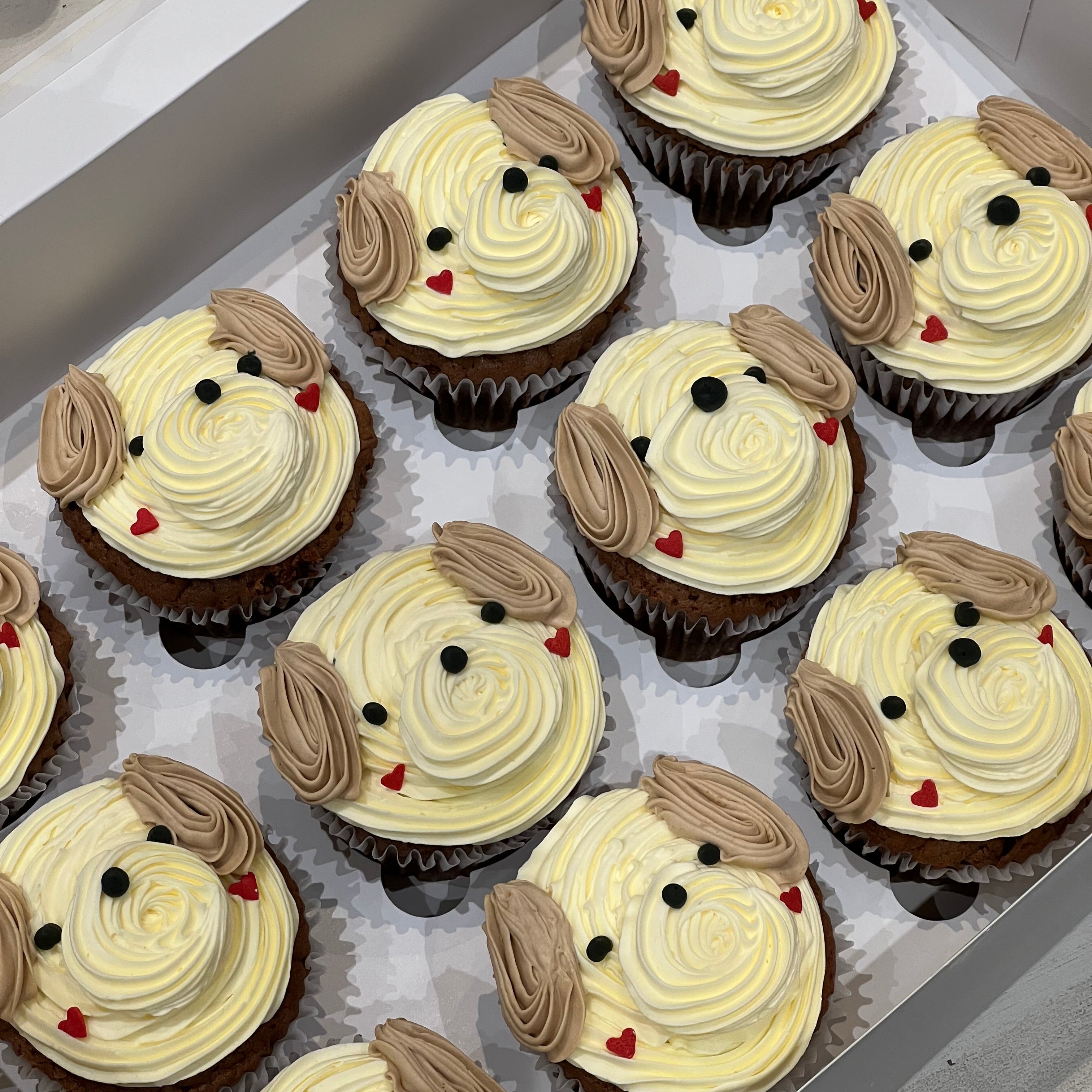 Animal Face Cupcake (10 animals)