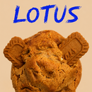 Lotus Macadamia Cookie