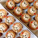 Animal Face Cupcake (10 animals)