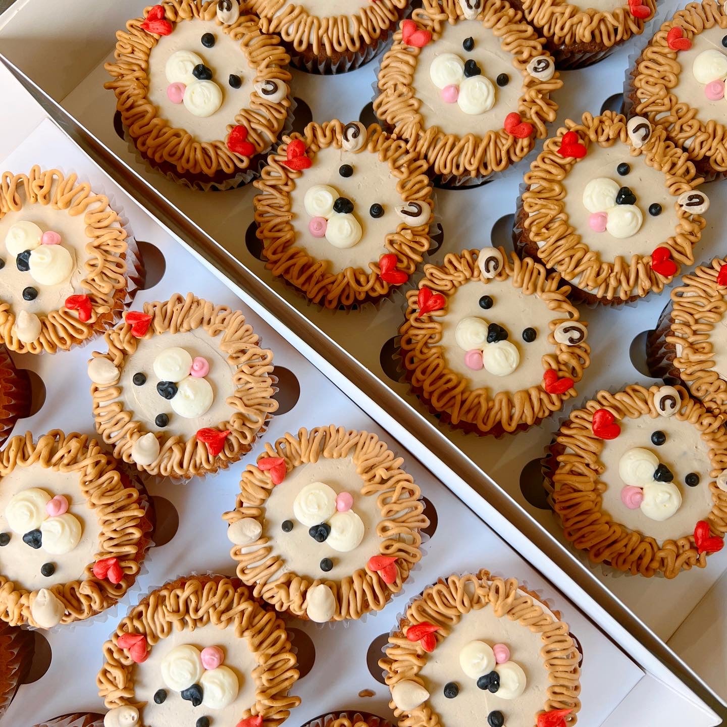 Animal Face Cupcake (10 animals)