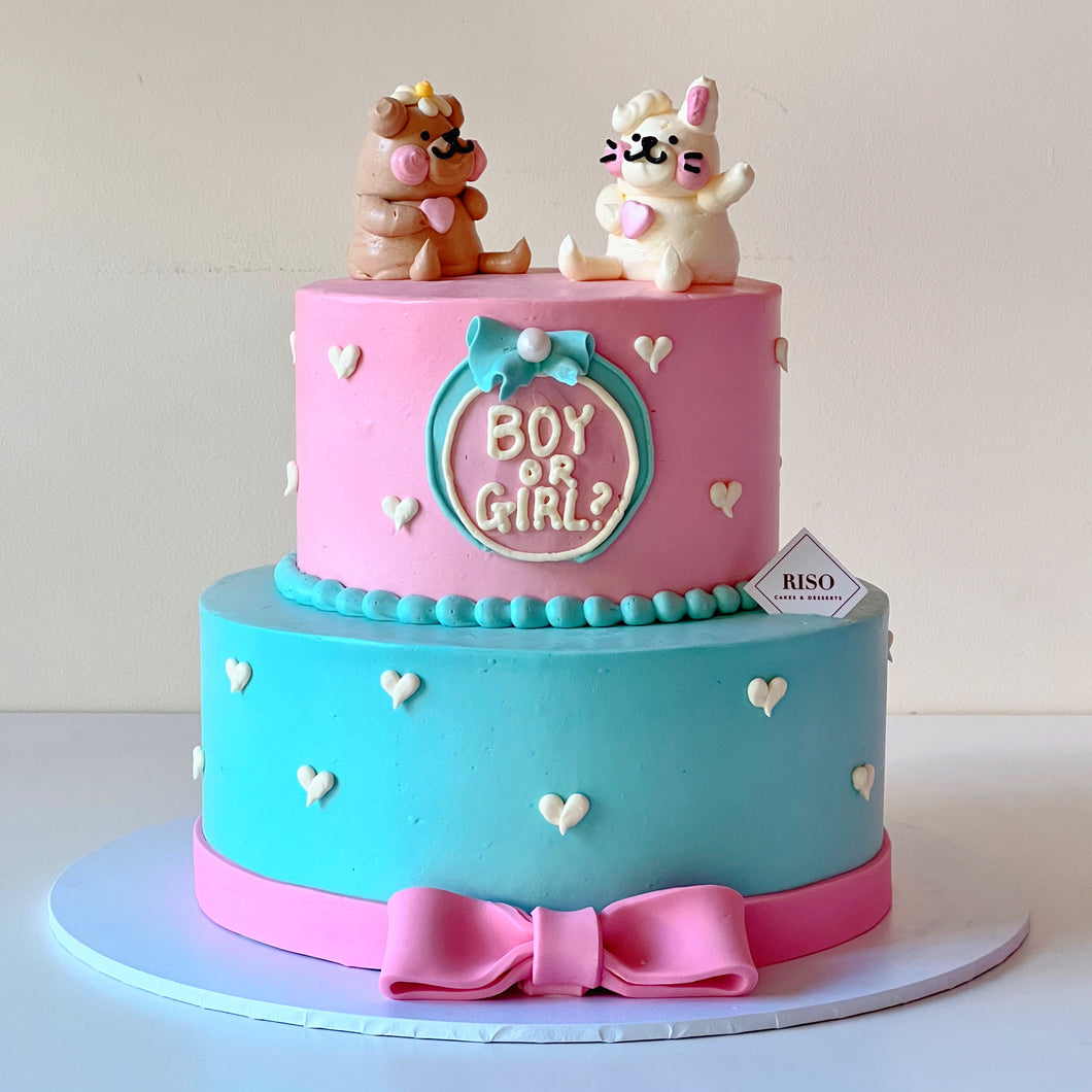 Gender reveal 2 tier Cake