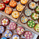 Rainbow Daisy Cupcake